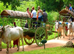 village-tour