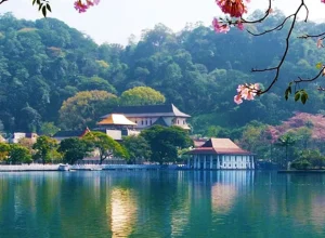 Kandy-city-tour