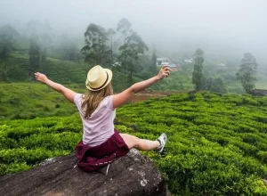 nuwaraeliya-tour