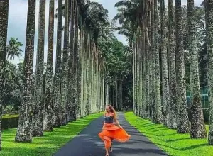 peradeniya-botanical-garden