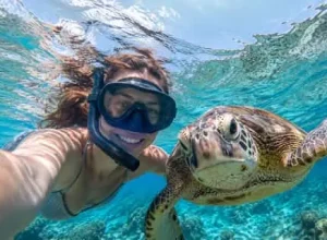 turtle-srilanka
